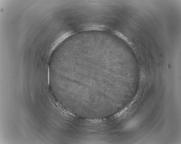 X0000061761219200512302255