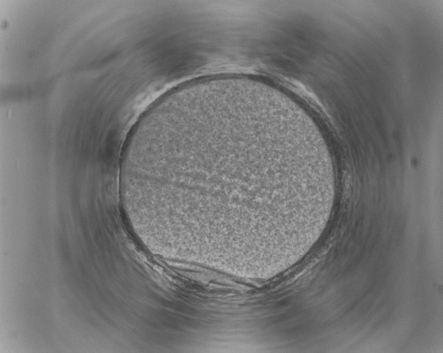 X0000061761220200512302255