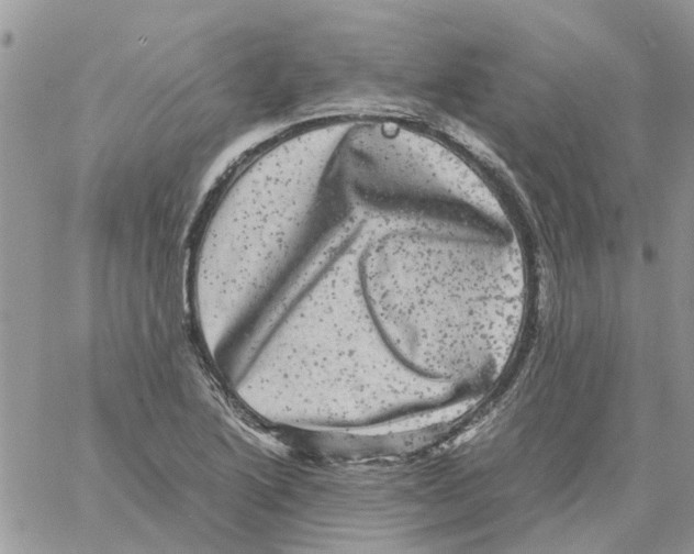 X0000061761222200512302255