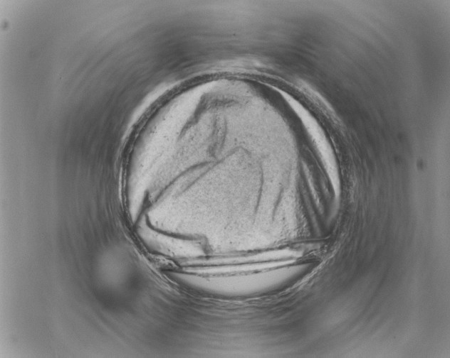 X0000061761224200512302255