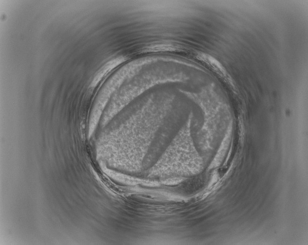 X0000061761225200512302255