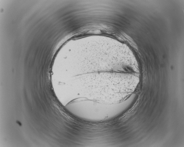 X0000061761226200512302255