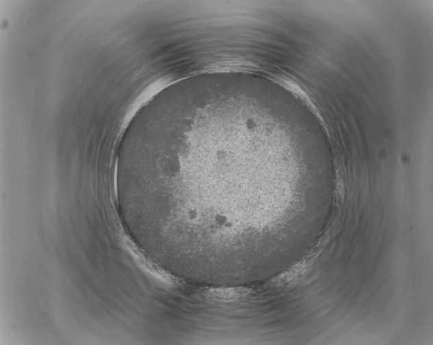 X0000061761227200512302255