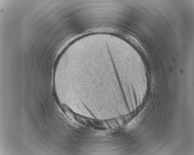 X0000061761228200512302255