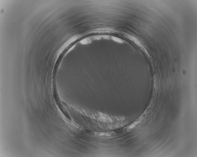 X0000061761229200512302255