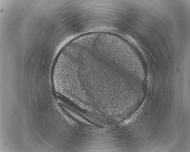 X0000061761230200512302255