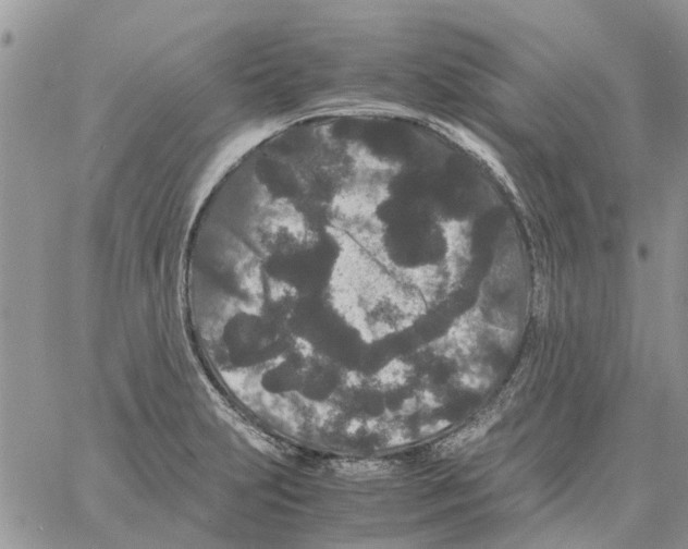 X0000061761231200512302255