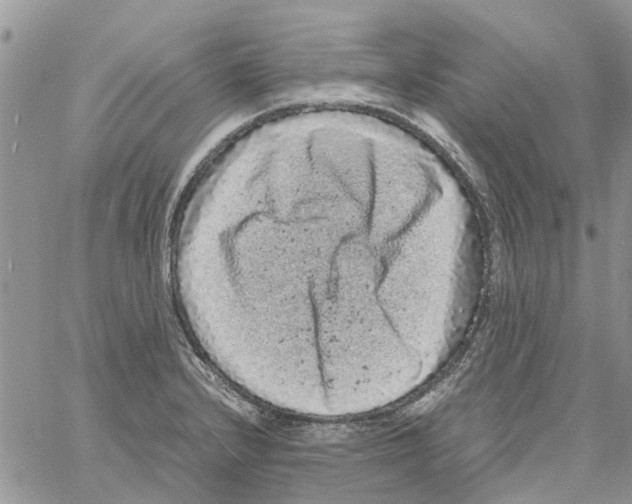 X0000061761232200512302255