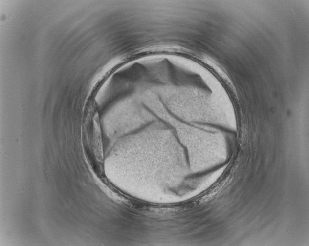 X0000061761237200512302255