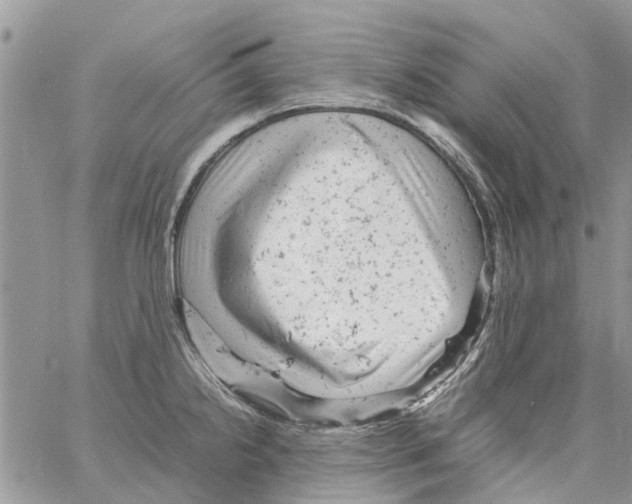 X0000061761238200512302255