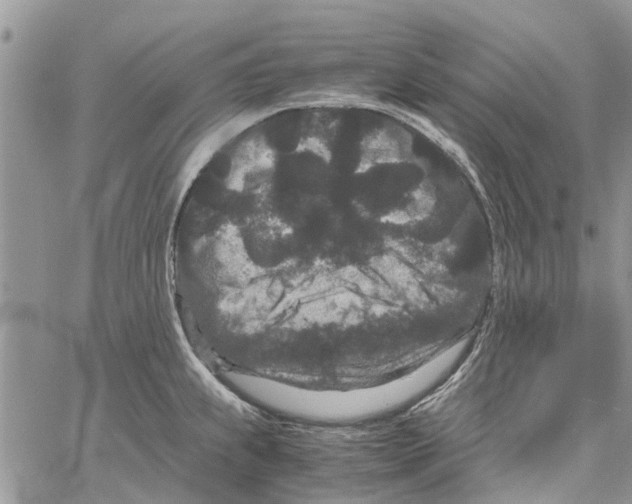 X0000061761239200512302255