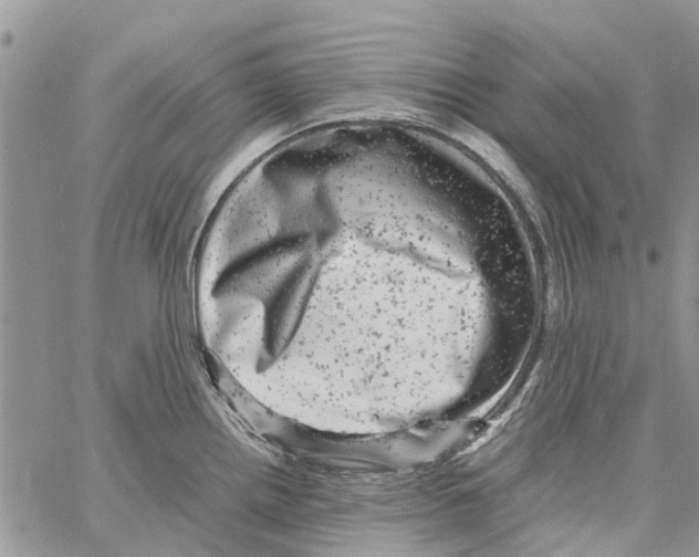 X0000061761242200512302255