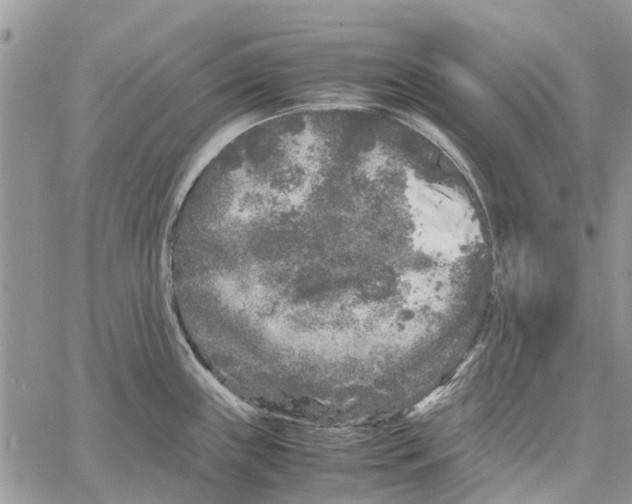 X0000061761243200512302255