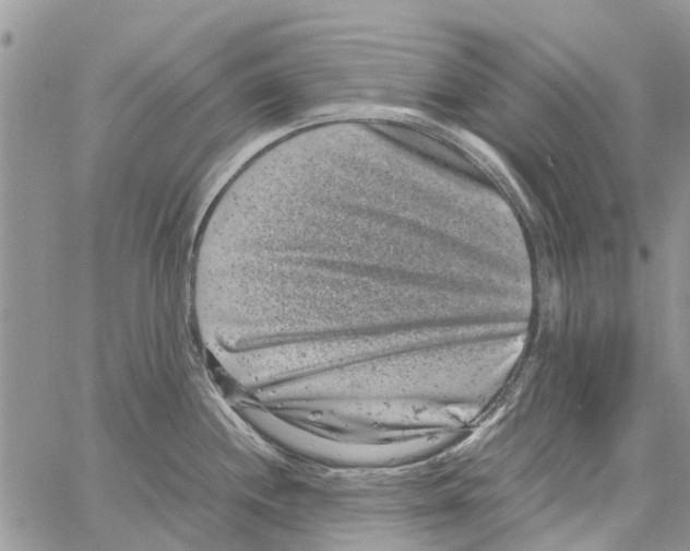 X0000061761244200512302255