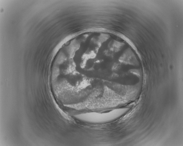 X0000061761245200512302255