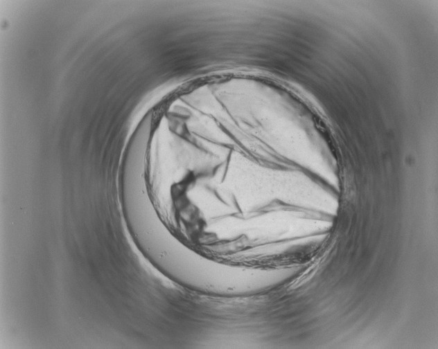 X0000061761247200512302255