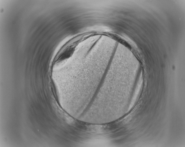 X0000061761248200512302255