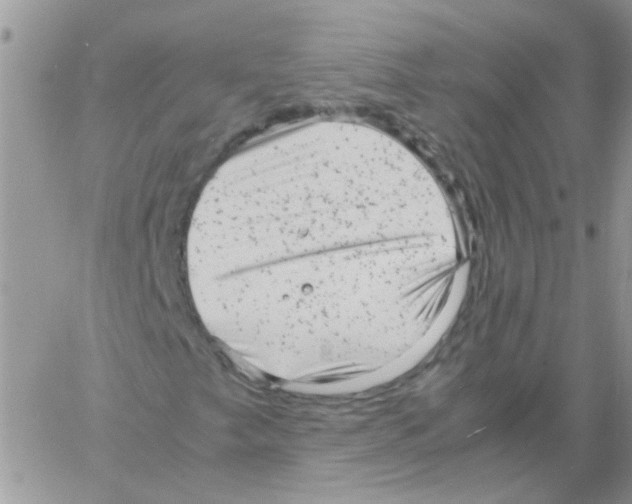 X0000061761249200512302254