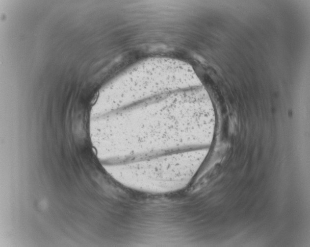 X0000061761250200512302254