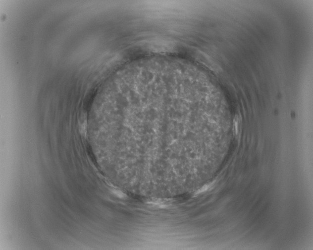 X0000061761251200512302254