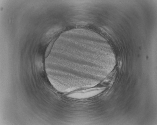 X0000061761252200512302254