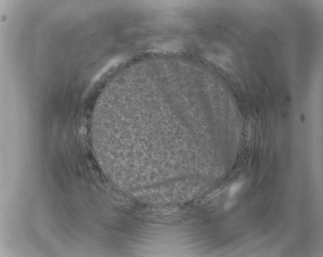 X0000061761254200512302254