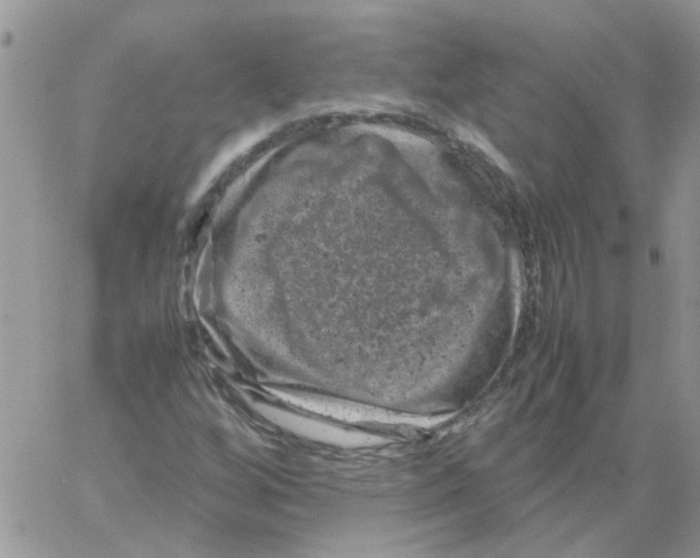 X0000061761256200512302254