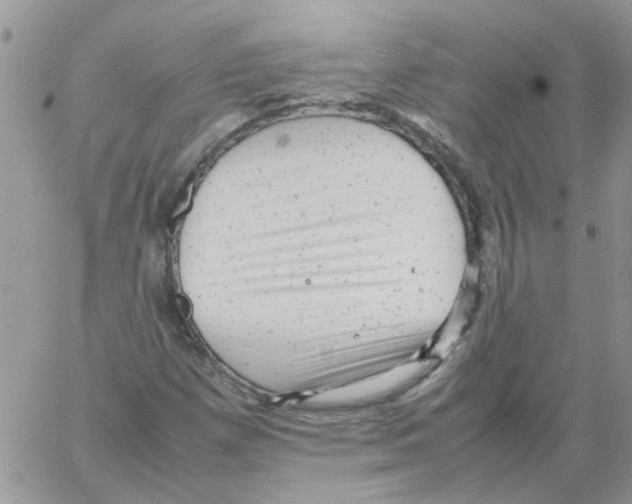 X0000061761257200512302254