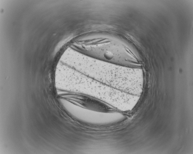 X0000061761261200512302254