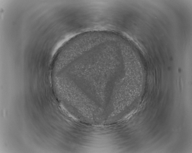 X0000061761262200512302254