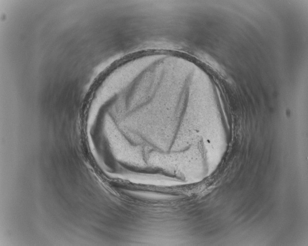 X0000061761264200512302254