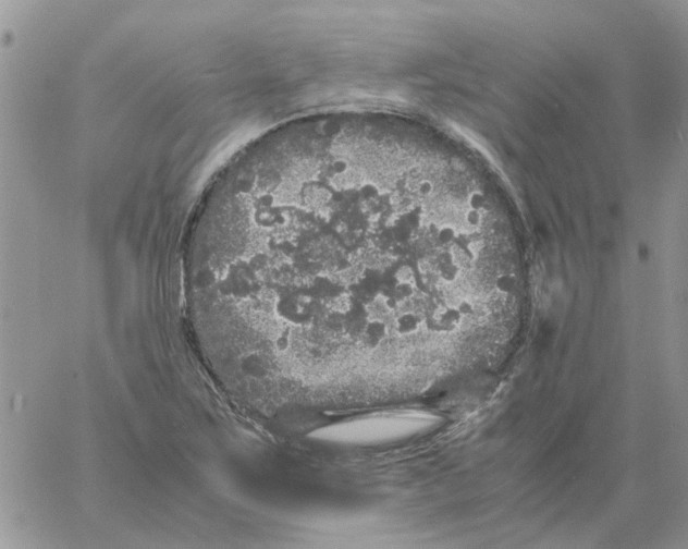 X0000061761267200512302254