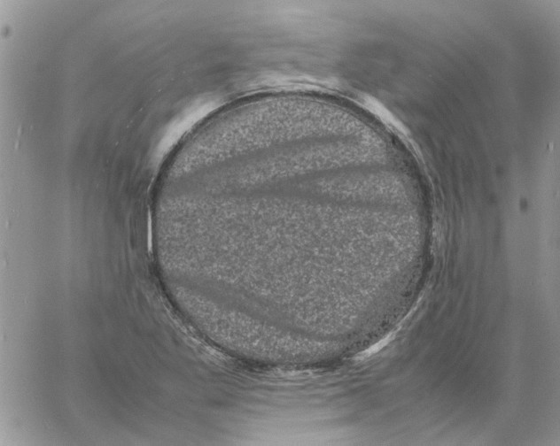 X0000061761269200512302254