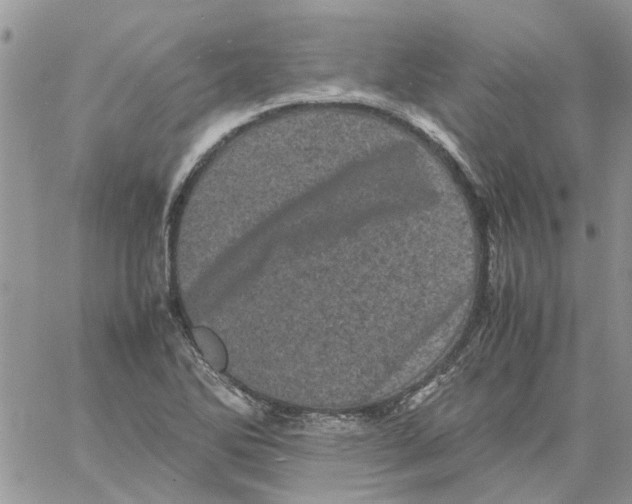 X0000061761270200512302254