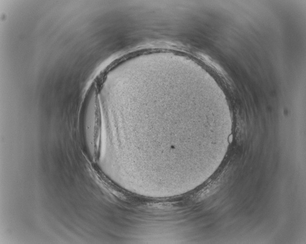 X0000061761272200512302254