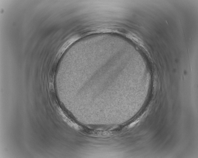 X0000061761273200512302254