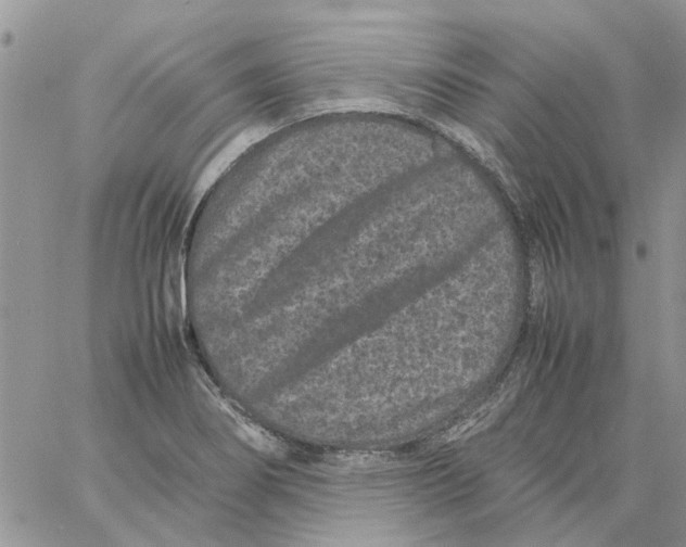 X0000061761274200512302254