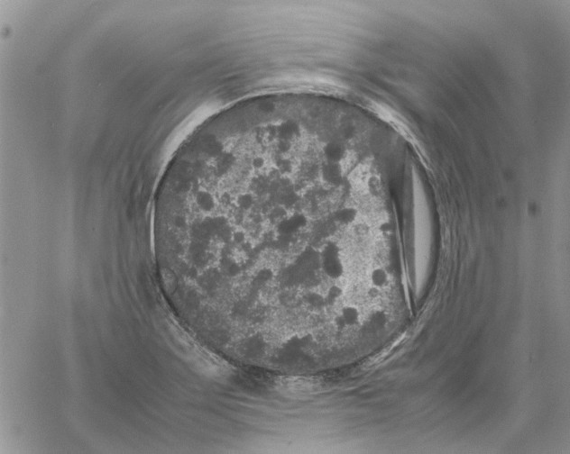 X0000061761275200512302254