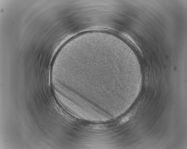 X0000061761276200512302254