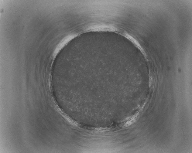 X0000061761277200512302254