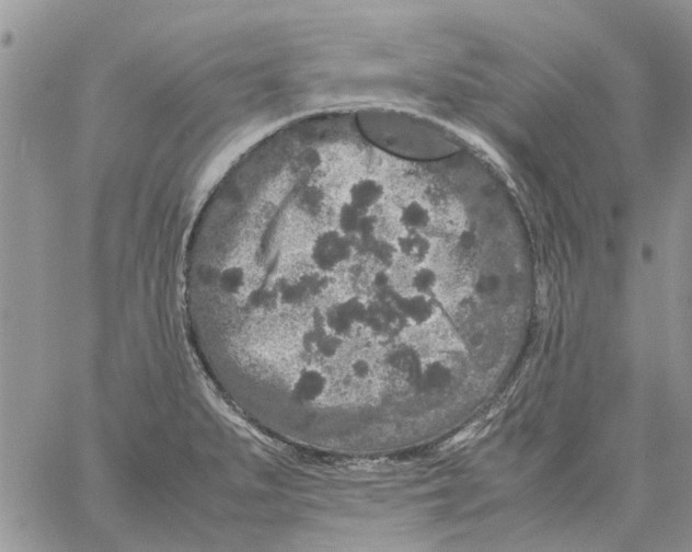 X0000061761279200512302254