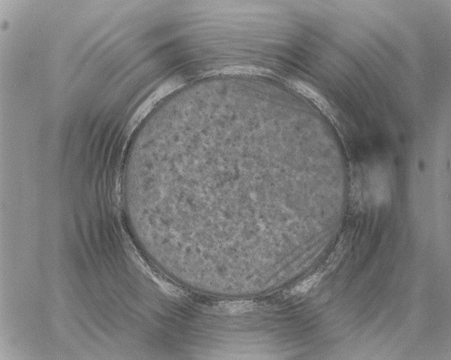 X0000061761282200512302254