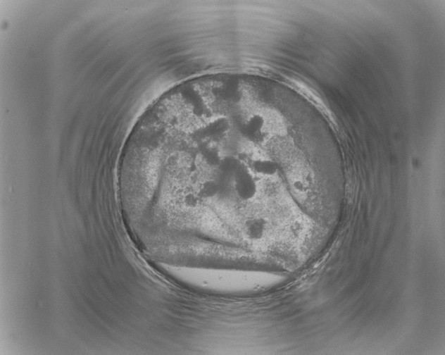 X0000061761283200512302254