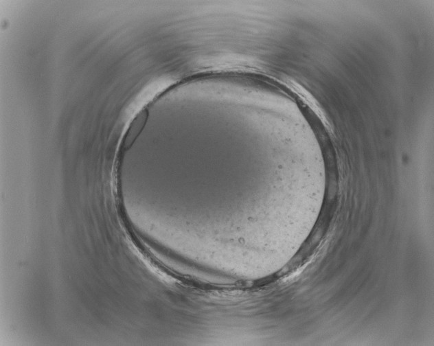 X0000061761285200512302254