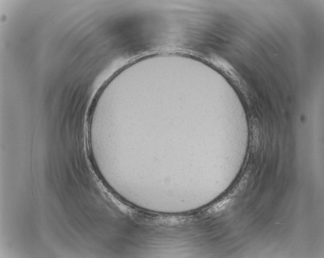 X0000061761286200512302254