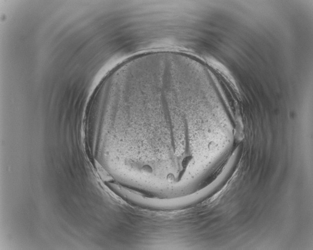 X0000061761288200512302254