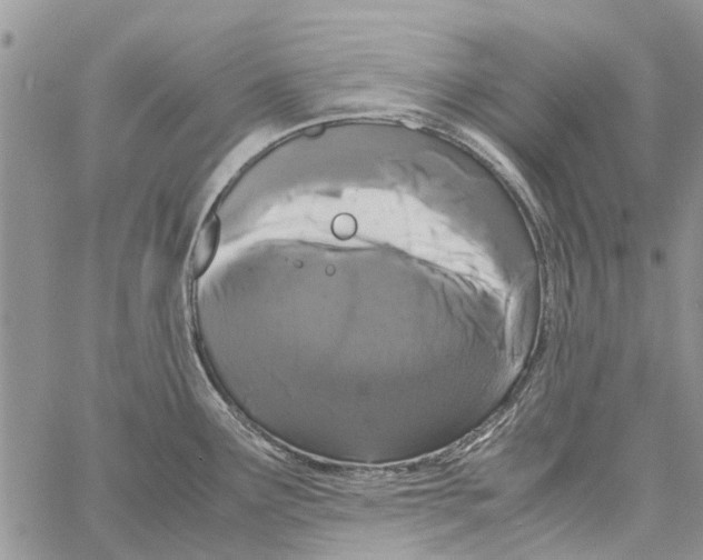 X0000061761291200512302254