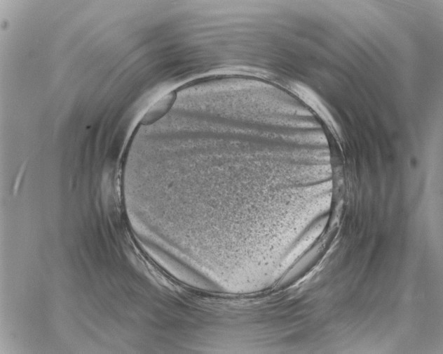 X0000061761292200512302254