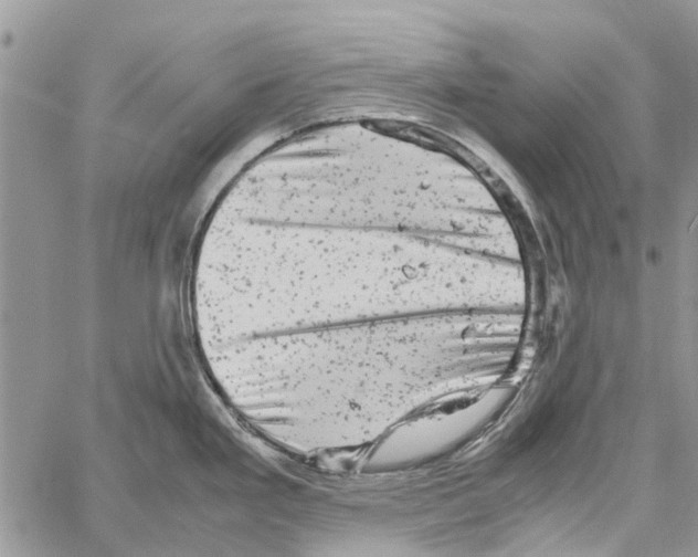 X0000061761293200512302254