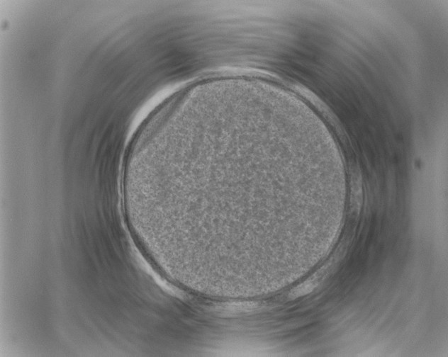 X0000061761294200512302254